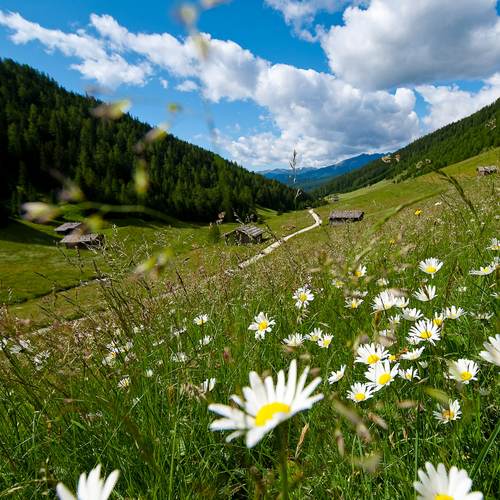 Wanderhotel Südtirol :: Top-Wanderhotel in Meransen