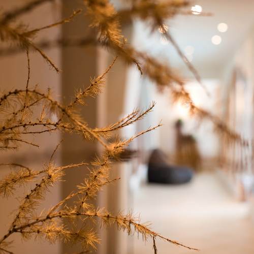 Wellnessurlaub Südtirol ☛ Ihr Wellnesshotel in Meransen