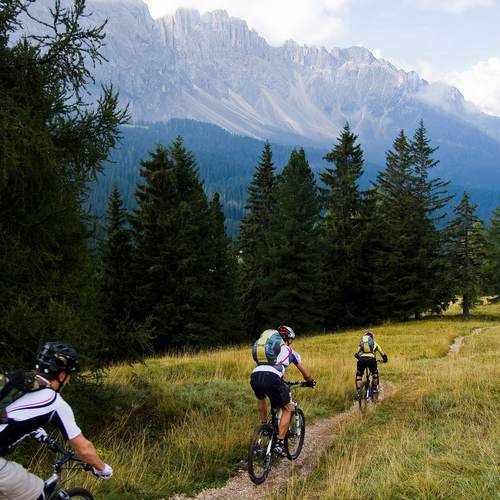 Mountainbike Südtirol ✱ Mountainbike & E-Bike Pustertal