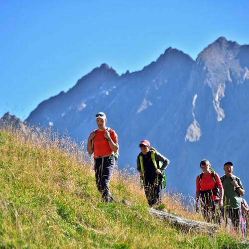 Almencard :: Gitschberg Jochtal & Südtirol entdecken